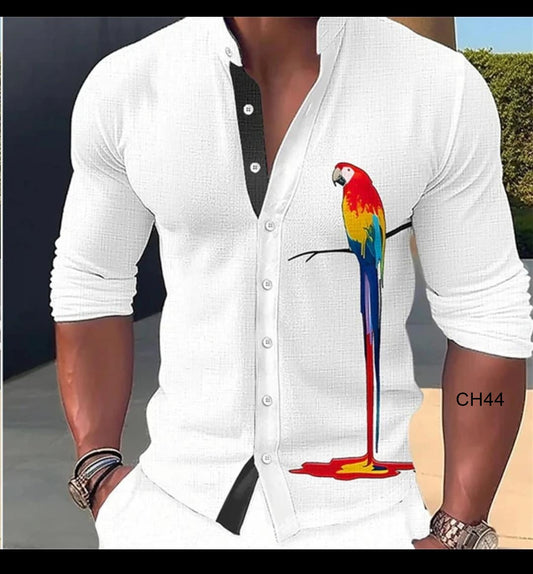 Camisa cuello chino elegante moda moderna